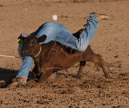Rodeo (9)