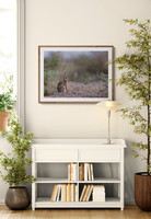 Desert Bunny Study Nook