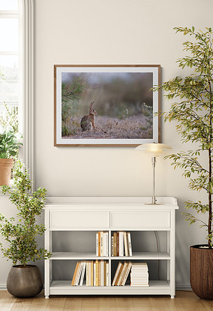 Desert Bunny Study Nook