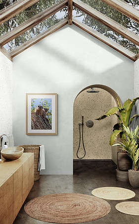 Marmot Babies Spa Suite