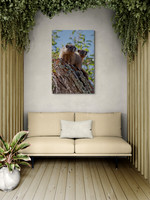 Marmot Babies Quiet Nook