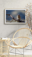 Golden Mantel Squirrel Sitting Room