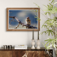 Golden Mantel Squirrel - In Room Views