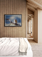 Golden Mantel Squirrel Bedroom