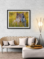 Friendly Wolf Lounge