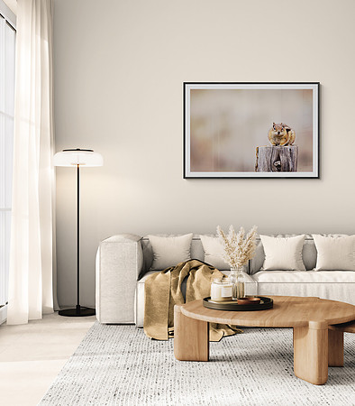 Franklin Living Room