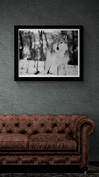 Winter Wolf Sofa
