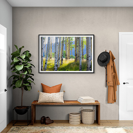 Meadow That Breathes Entryway