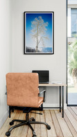 Crowned in Frost Desk