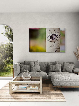 Silent Observer Living Room
