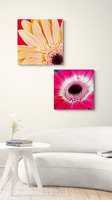 Gerbera Collage Sofa