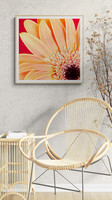 Orange Gerbera Sitting Room
