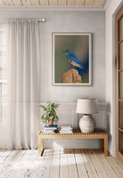 Azure Entryway