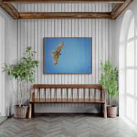 Glide Bench