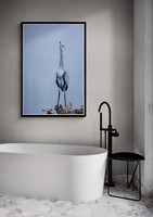 Watercolor - In Room Views