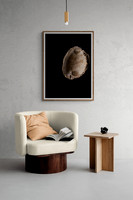 Lunar Terrain on a Slipper Shell - In Room Views