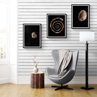 Relics Sitting Room Collage
