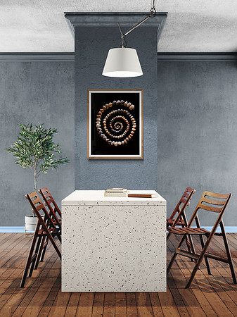 Cockle Spiral Study