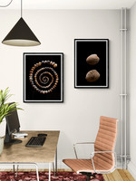 Cockle Spiral Office
