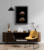 Venus Shells - In Room Views