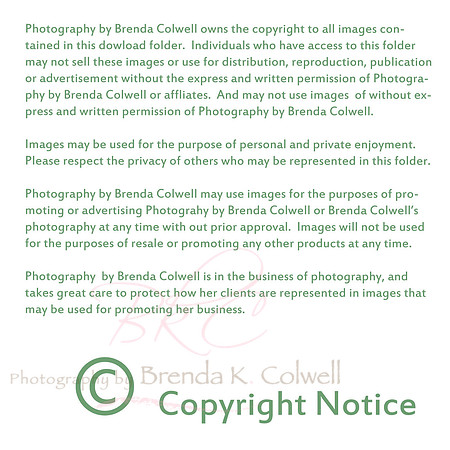 copyright
