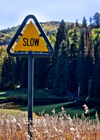 VACATION SPEED