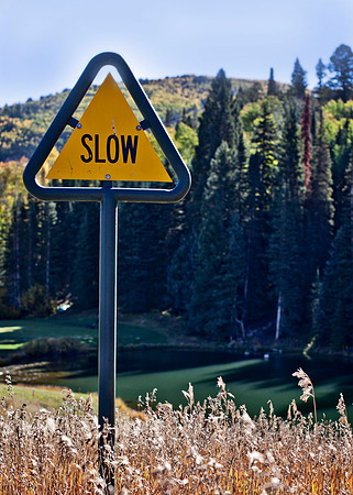 VACATION SPEED