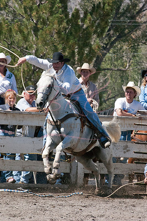 Rodeo (2)