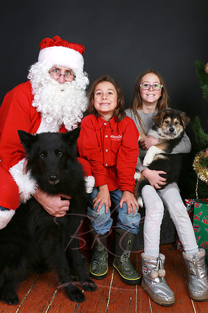2014 Santa Paws044