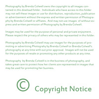 copyright