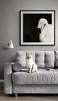 Blush Sitting Room