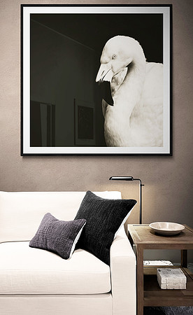 Blush Contemporary Lounge