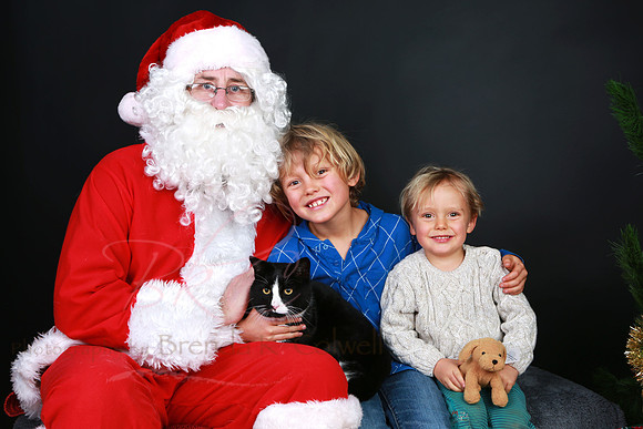 2014 Santa Paws010