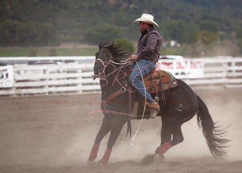 Brenda Rodeo Photography by Brenda Colwell | Horses & Rodeo | Rodeo 17