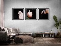 Blush Living Room Collage